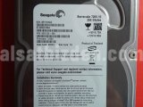Seagate  250 GB 3.5” SATA Hard Disk (Sağlık 100 , İkinci El)